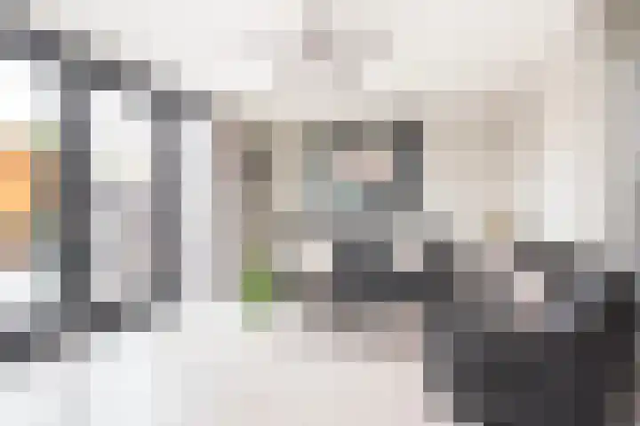 Drususlaan 3 De Meern thumbnail 8