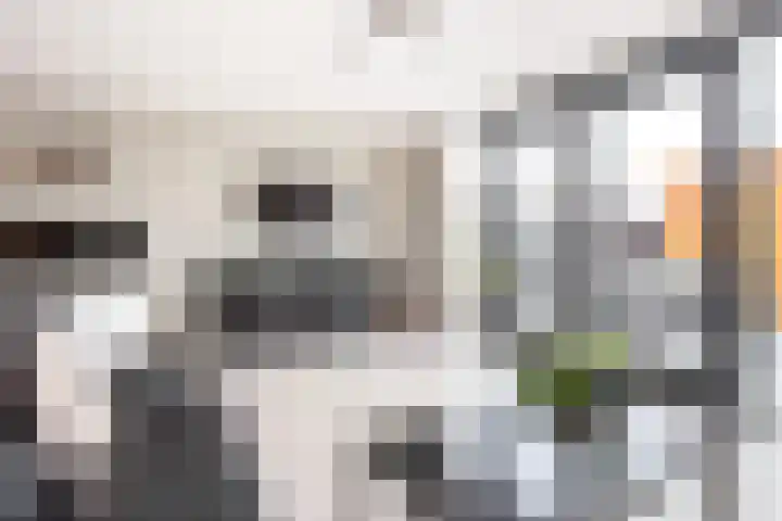 Drususlaan 3 De Meern thumbnail 9