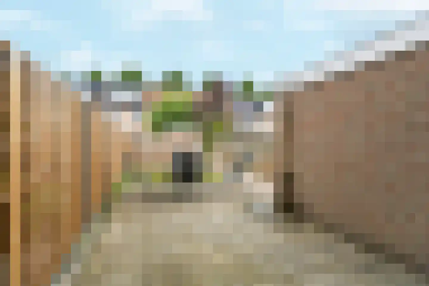 Drususlaan 30 Westervoort thumbnail 35