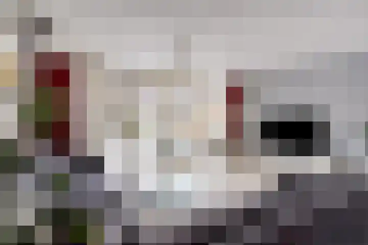 Drususlaan 49 De Meern thumbnail 12