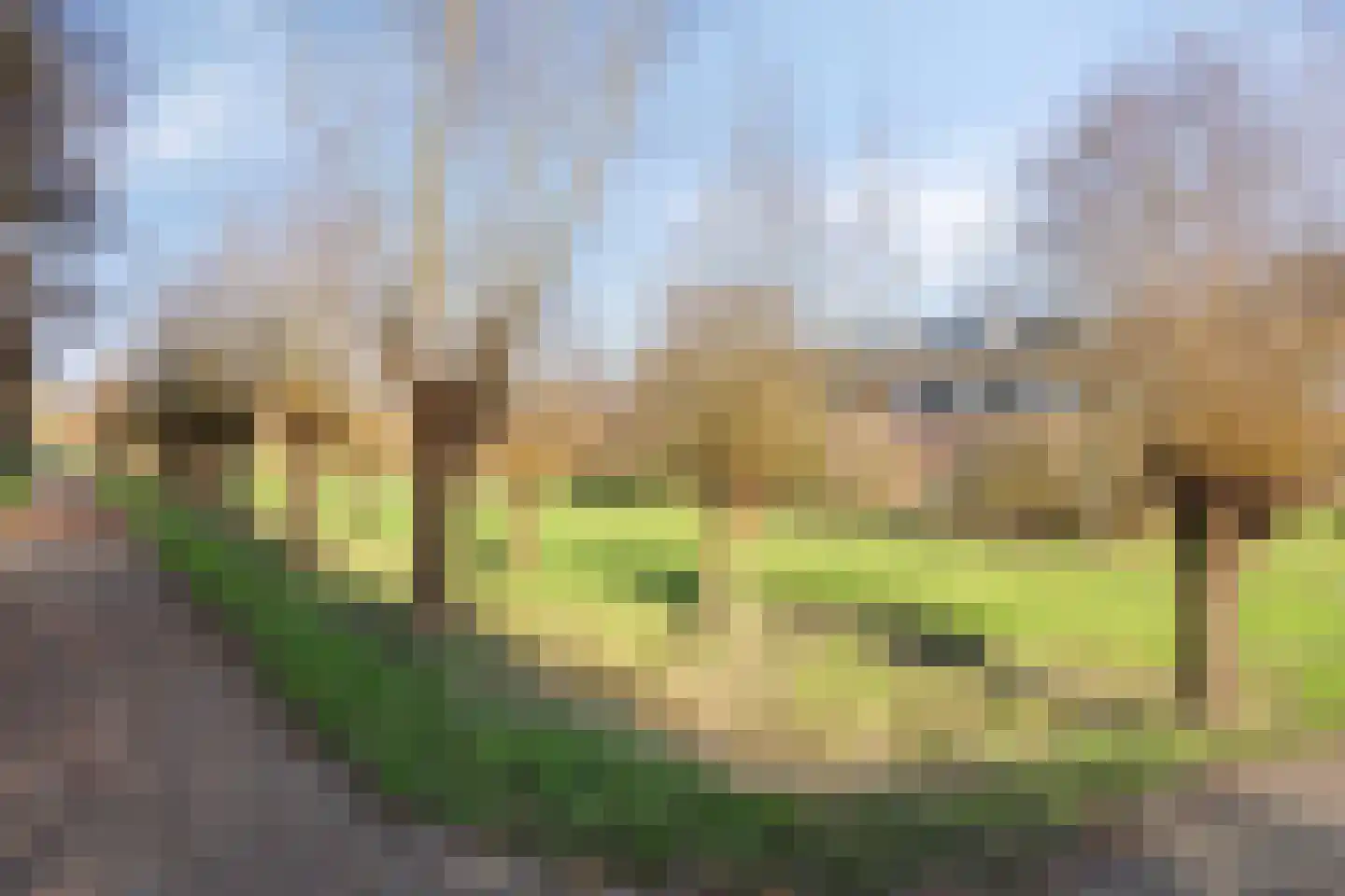 Drususlaan 49 De Meern thumbnail 30