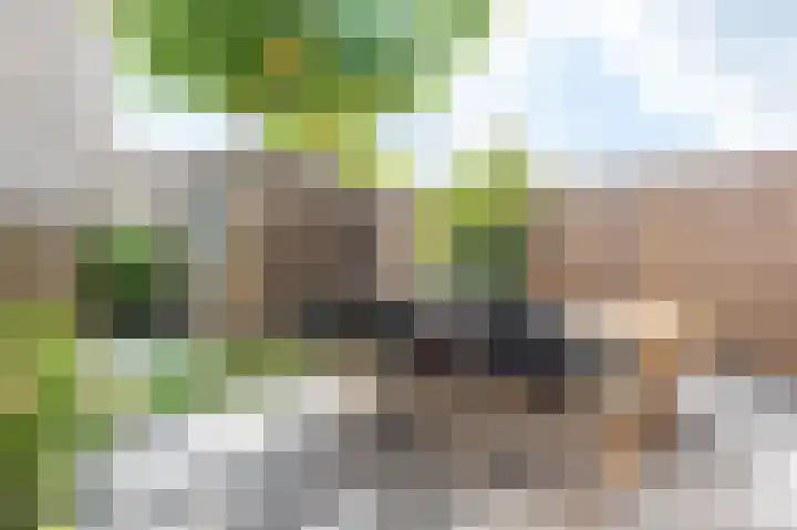 Drutenkade 19 Amersfoort thumbnail 37