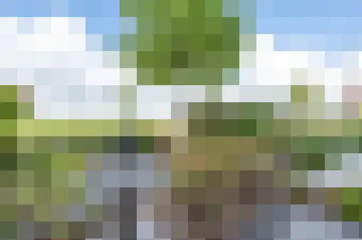 Drutenkade 19 Amersfoort thumbnail 43