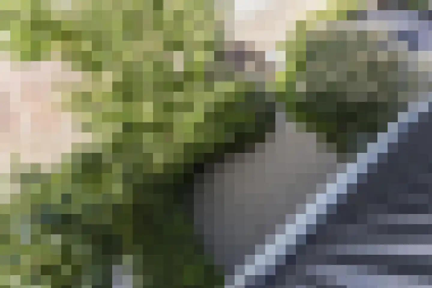 Drutenkade 37 Amersfoort thumbnail 23