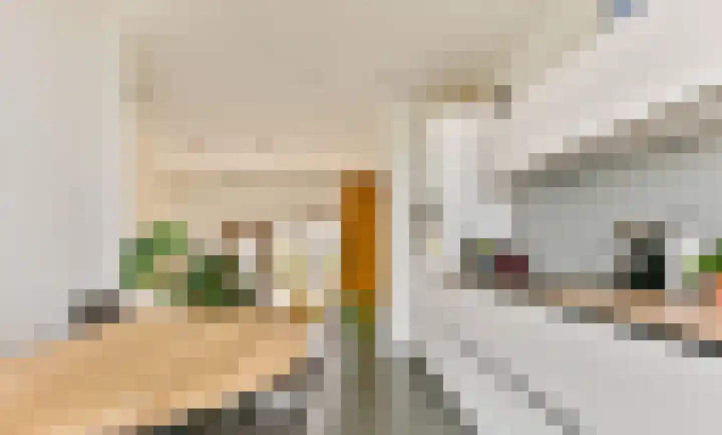 Drutenkade 45 Amersfoort thumbnail 15