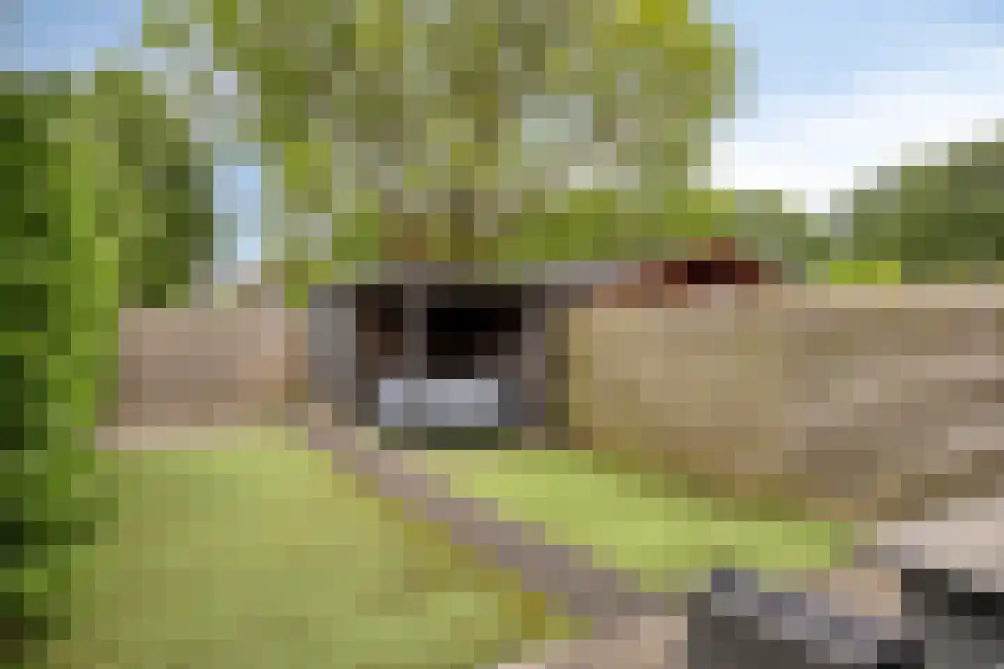 Druwerbrink 136 Emmen thumbnail 18