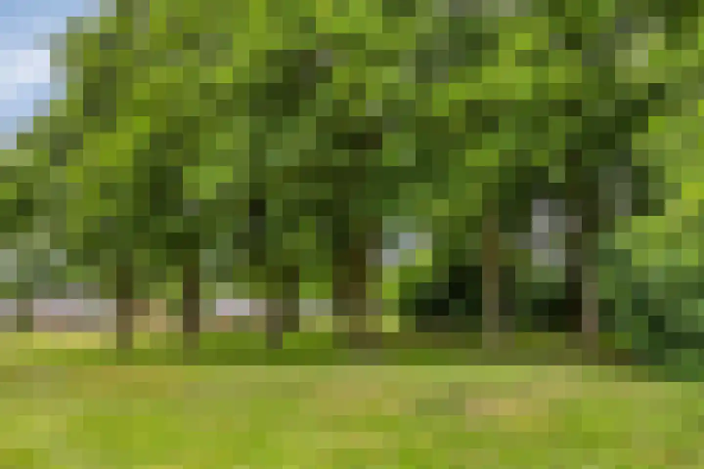 Druwerbrink 136 Emmen thumbnail 24
