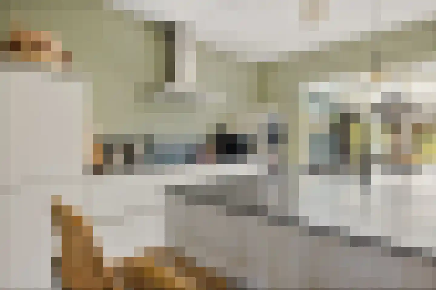 Druwerbrink 137 Emmen thumbnail 12