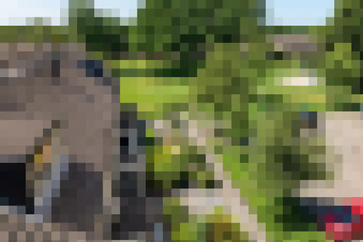 Druwerbrink 137 Emmen thumbnail 54