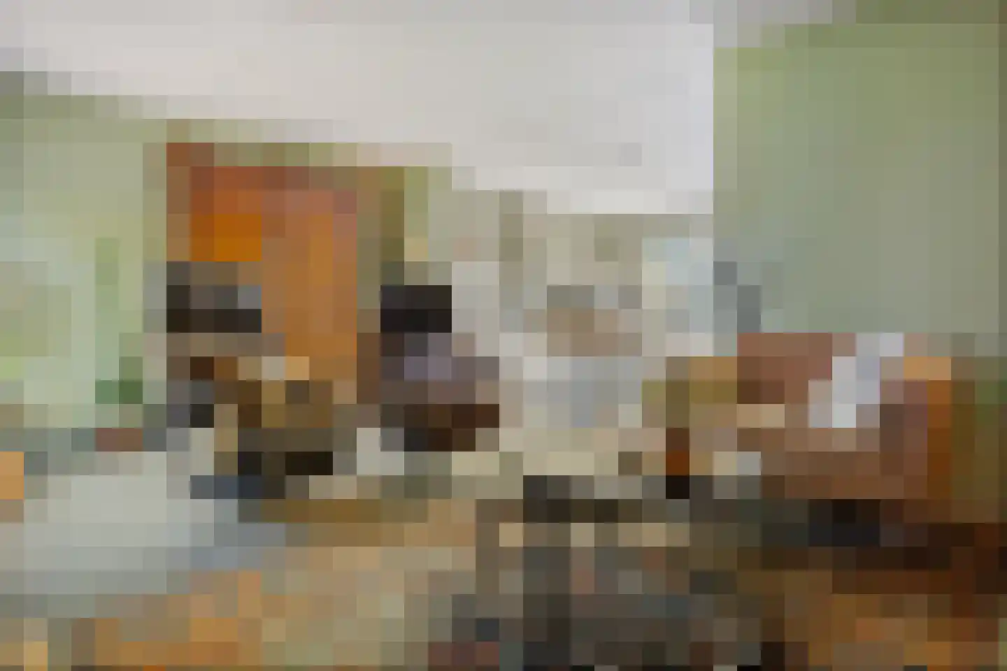 Druwerbrink 137 Emmen thumbnail 8