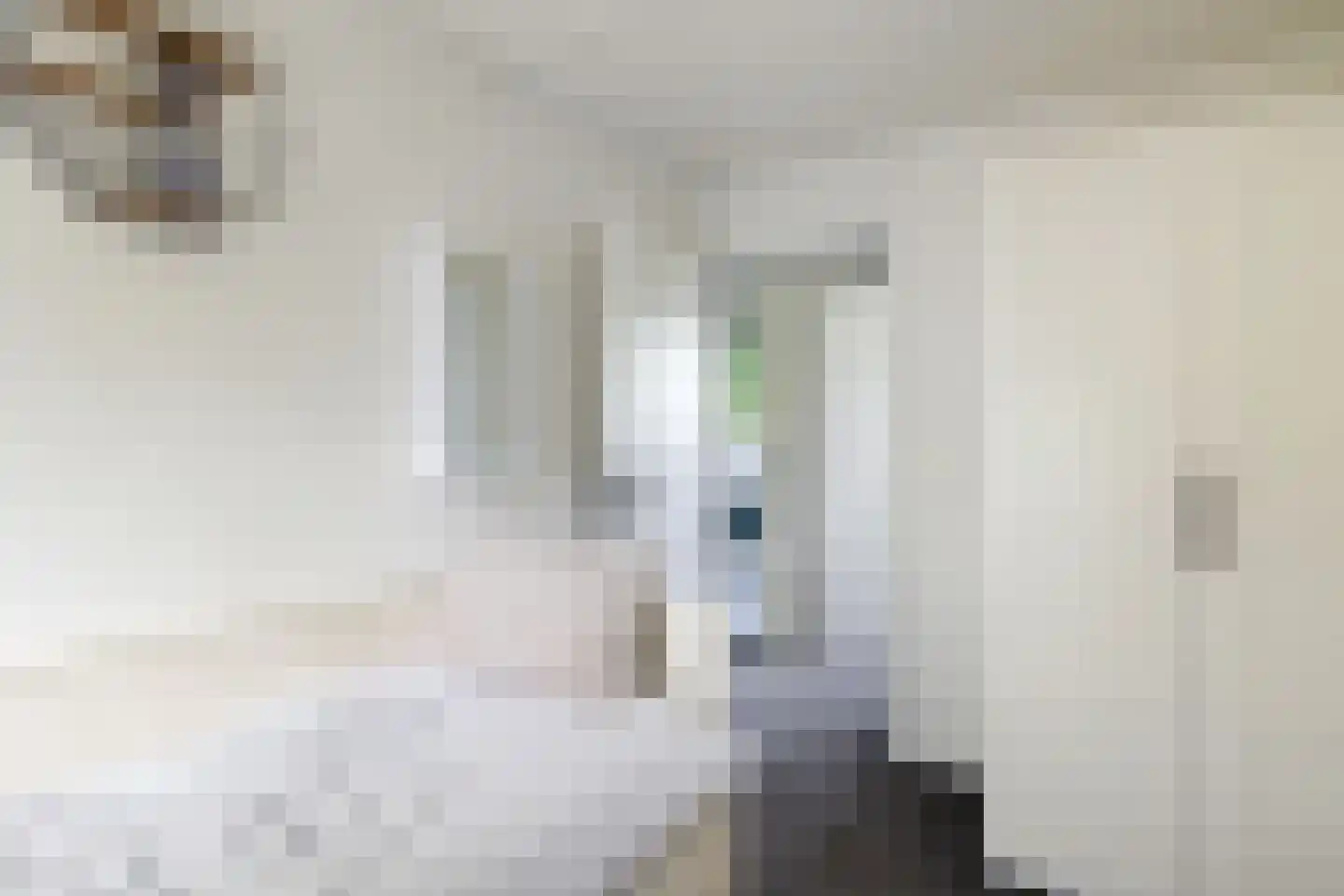 Druwerbrink 138 Emmen thumbnail 21