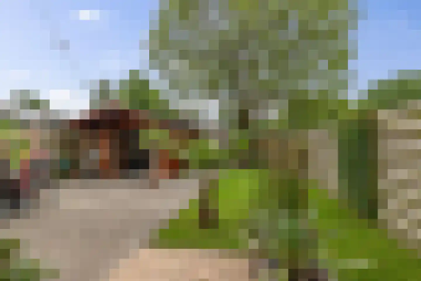 Druwerbrink 138 Emmen thumbnail 32