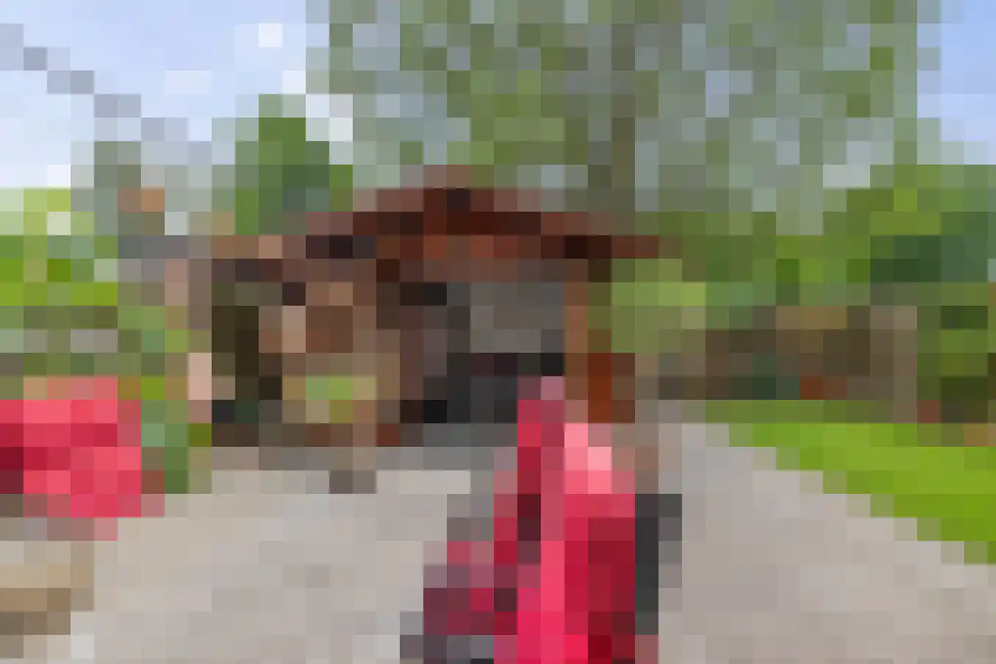 Druwerbrink 138 Emmen thumbnail 34