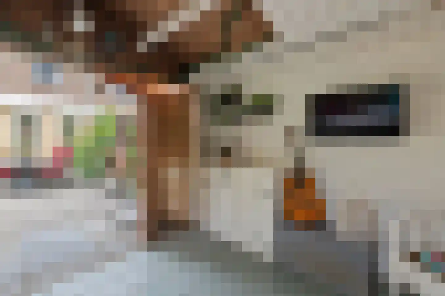 Druwerbrink 138 Emmen thumbnail 36