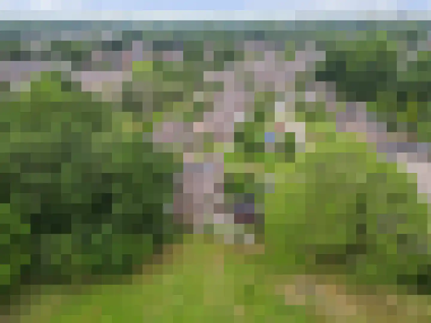Druwerbrink 138 Emmen thumbnail 40