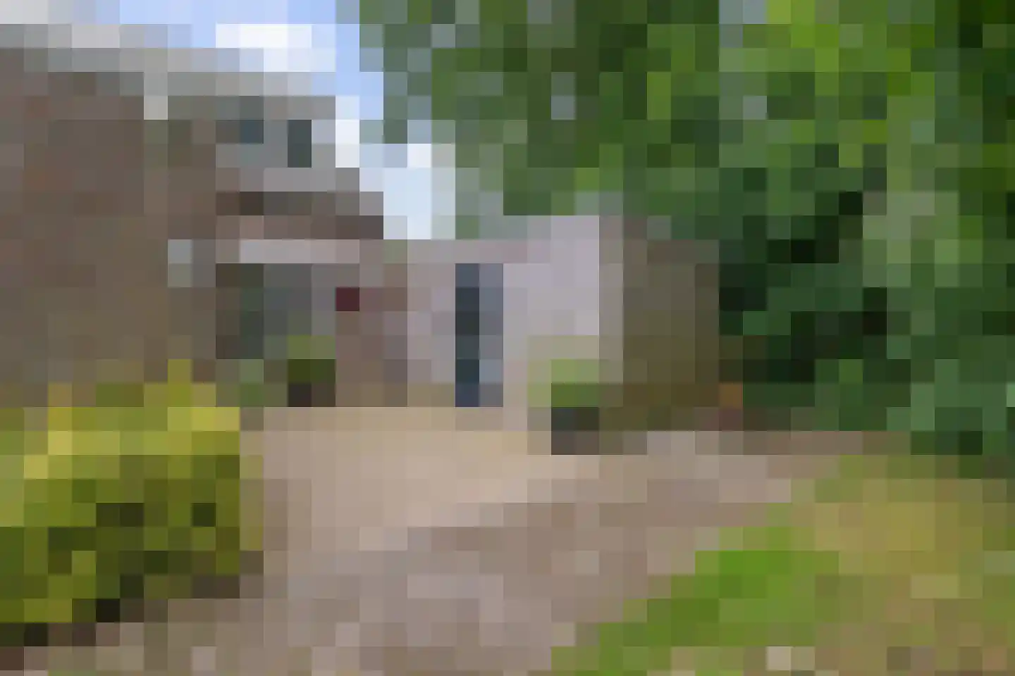 Druwerbrink 138 Emmen thumbnail 5