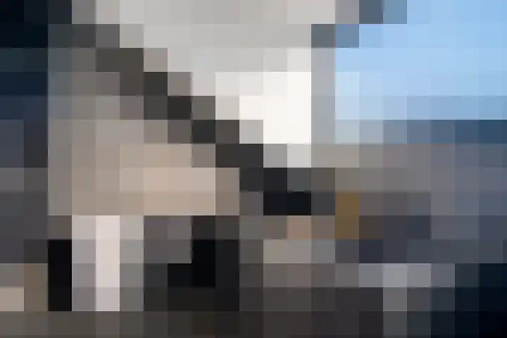 Druwerbrink 144 Emmen thumbnail 20