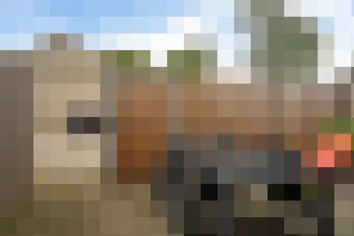 Druwerbrink 144 Emmen thumbnail 33