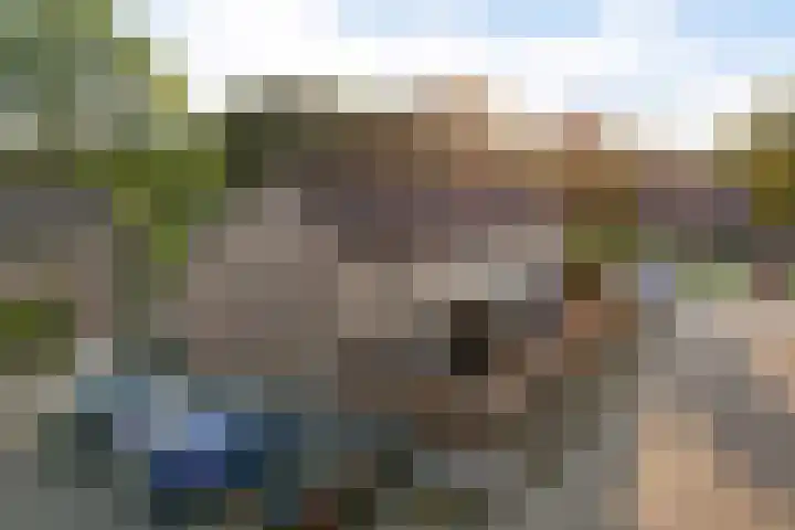 Druwerbrink 144 Emmen thumbnail 37