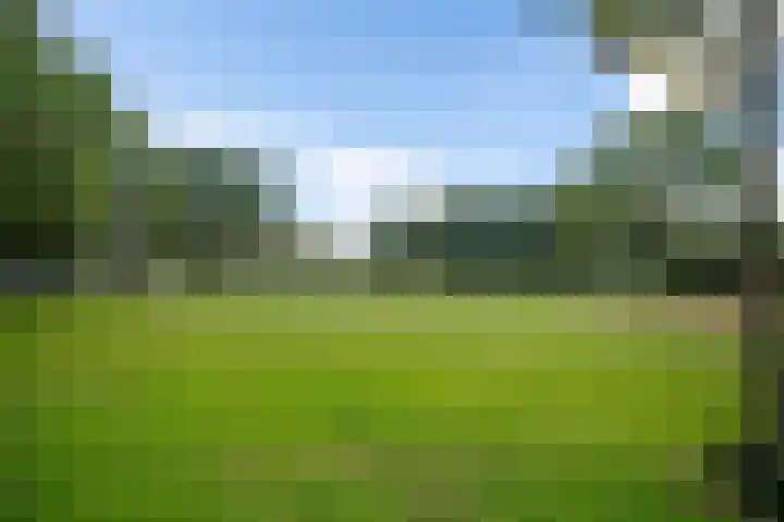 Druwerbrink 144 Emmen thumbnail 38