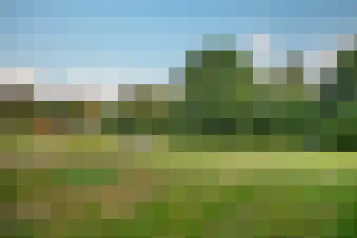 Druwerbrink 144 Emmen thumbnail 39