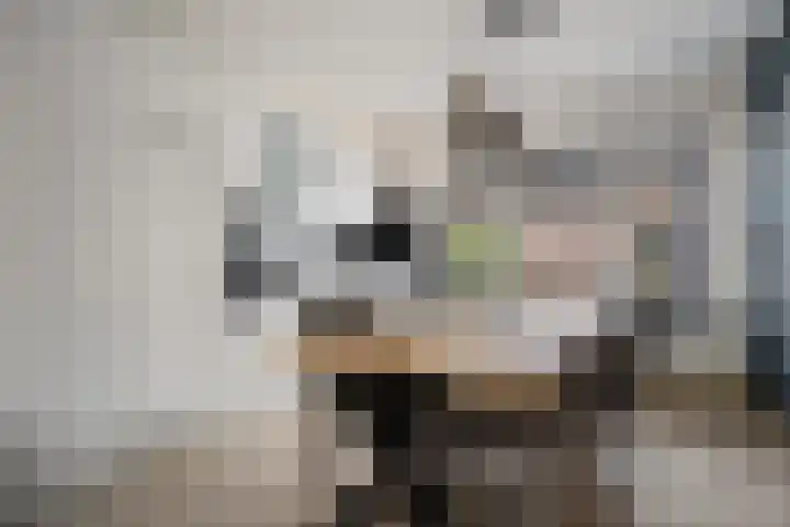 Druwerbrink 144 Emmen thumbnail 5