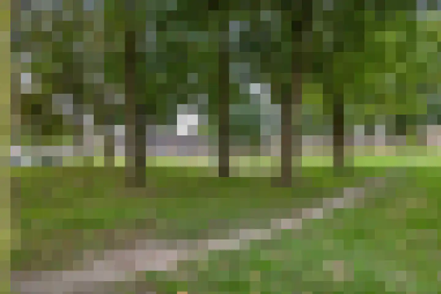 Druwerbrink 163 Emmen thumbnail 40
