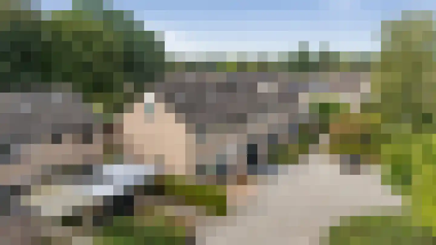 Druwerbrink 163 Emmen thumbnail 44