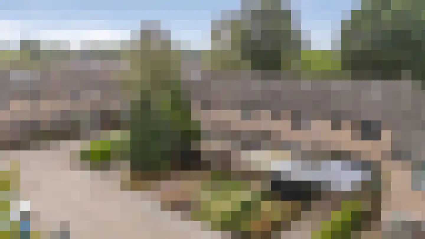 Druwerbrink 163 Emmen thumbnail 46