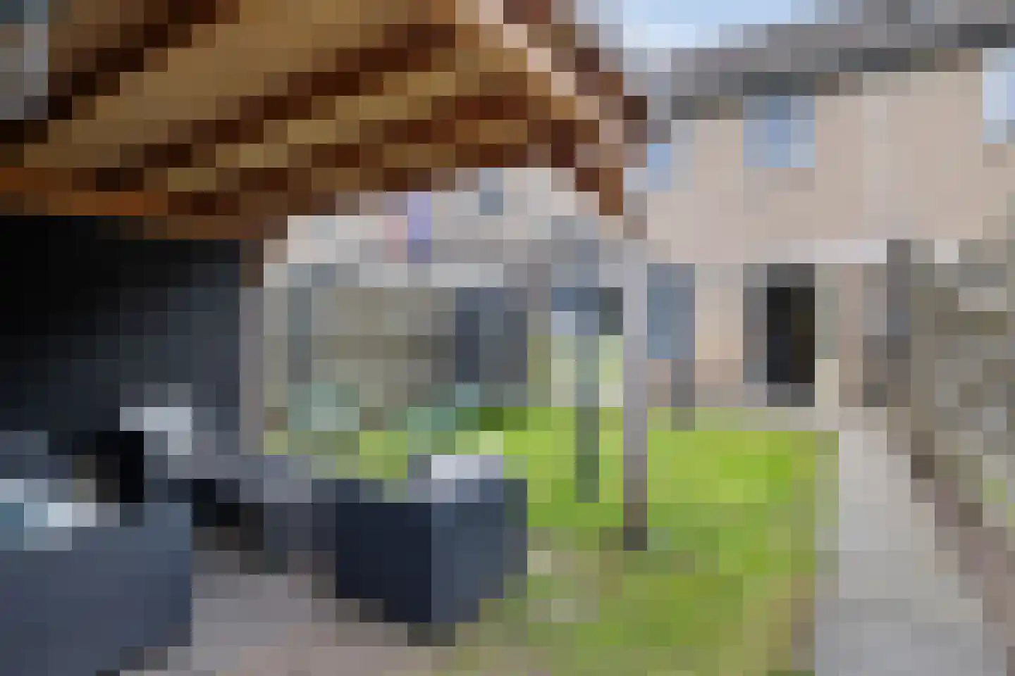 Druwerbrink 20 Emmen thumbnail 28