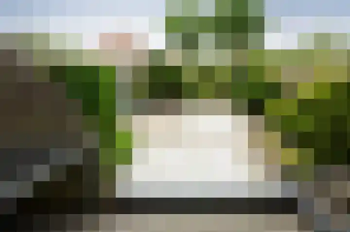 Druwerbrink 228 Emmen thumbnail 21