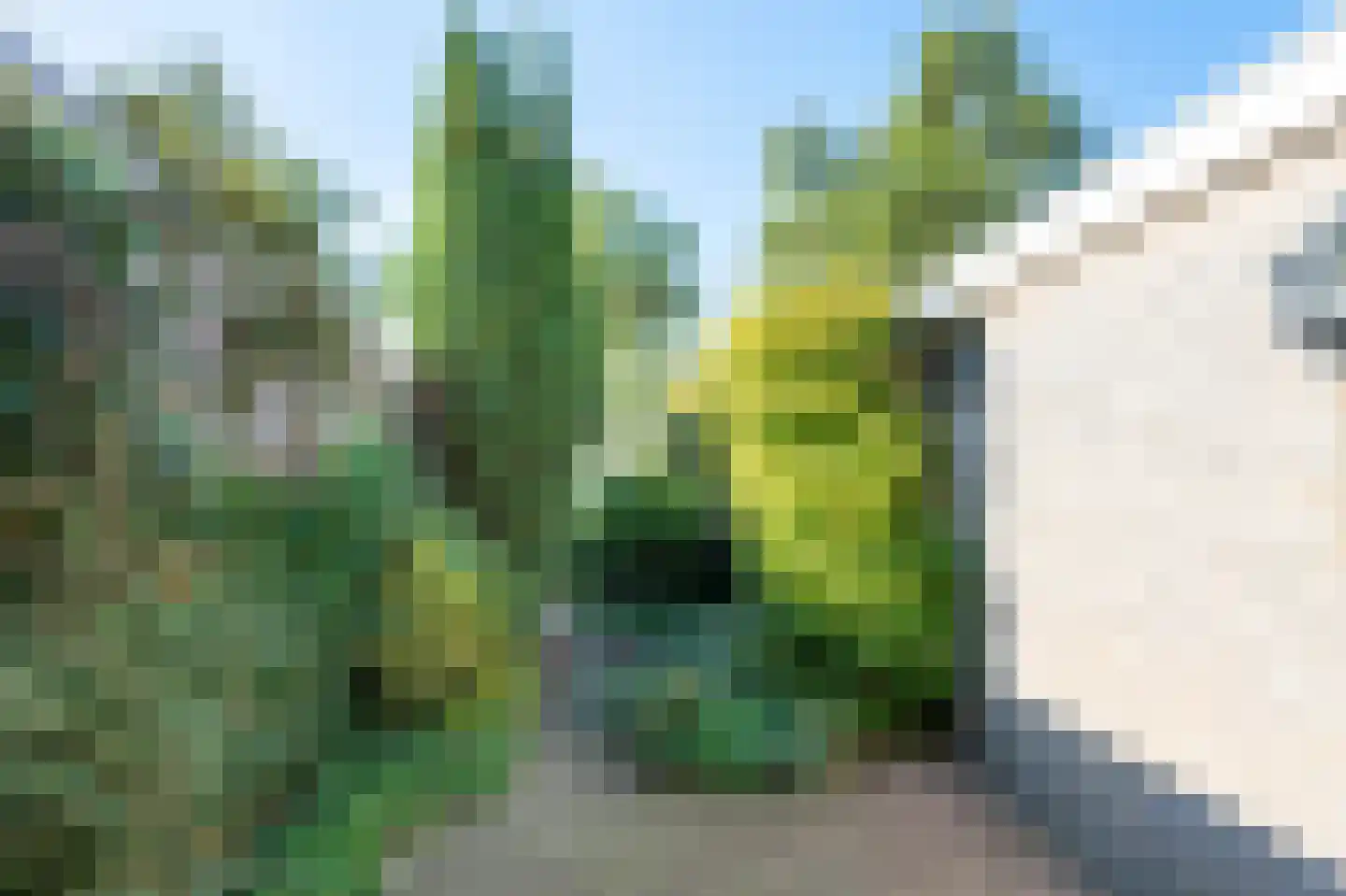 Druwerbrink 248 Emmen thumbnail 31