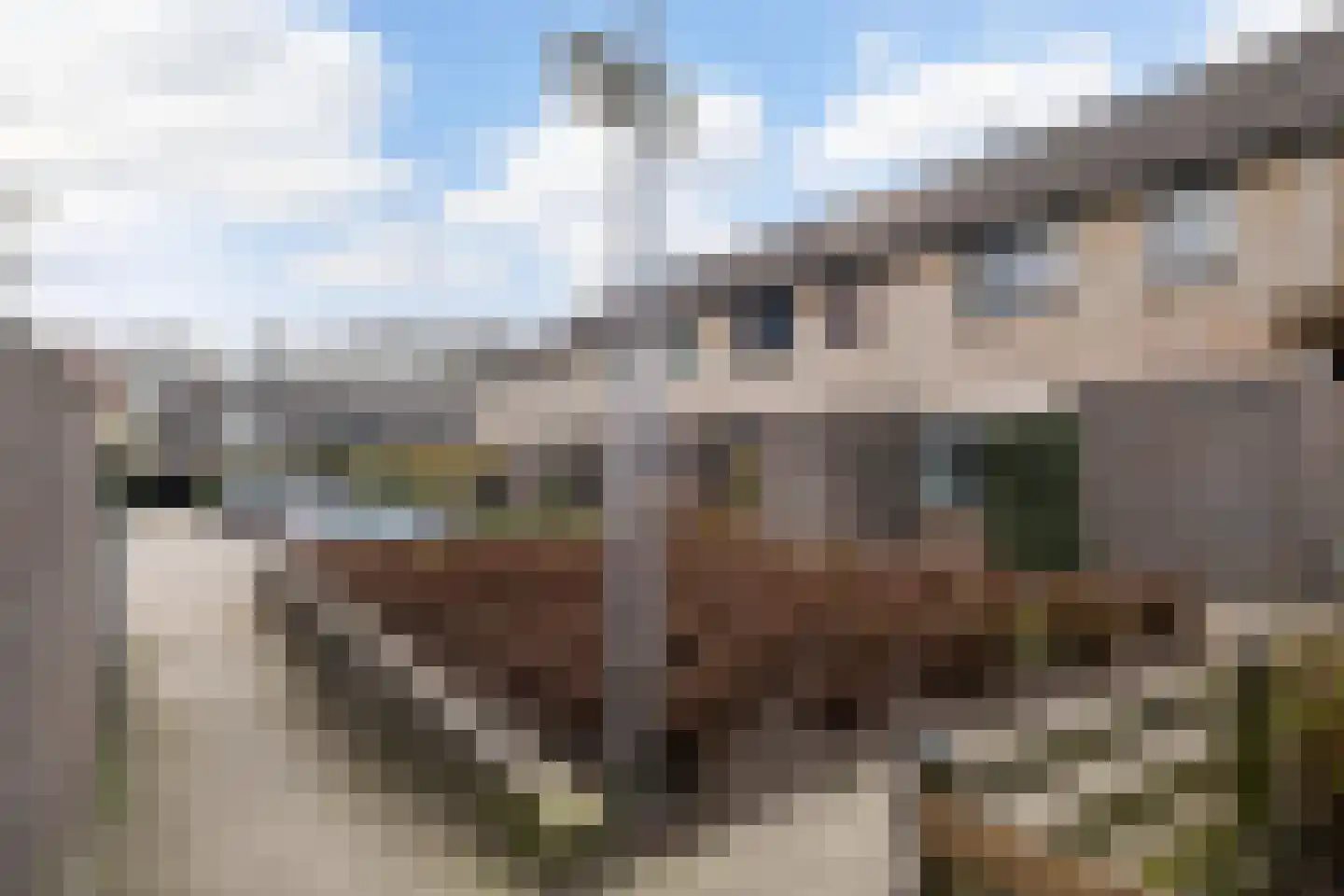Druwerbrink 266 Emmen thumbnail 4