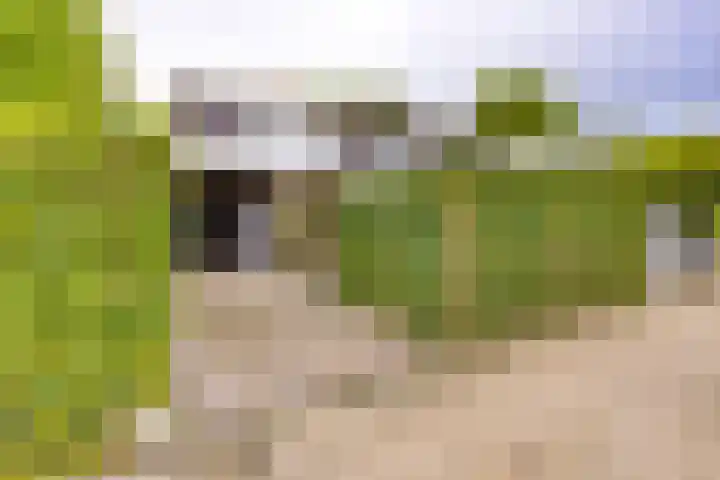 Druwerbrink 276 Emmen thumbnail 28