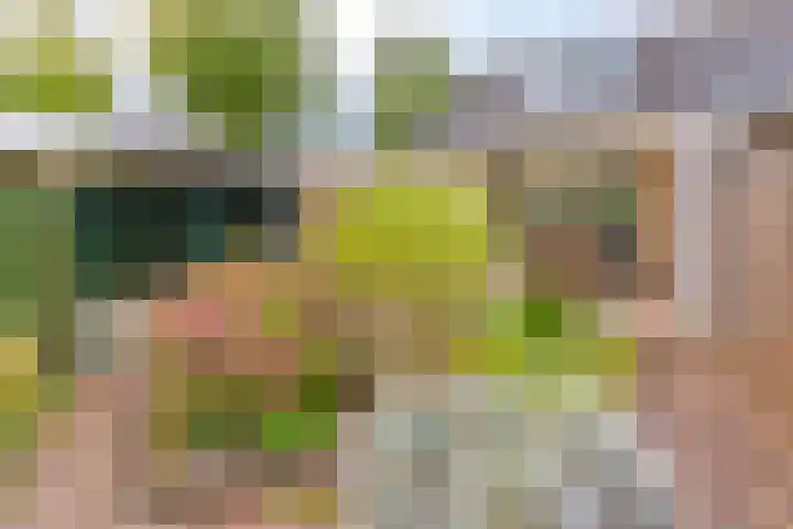 Druwerbrink 276 Emmen thumbnail 34