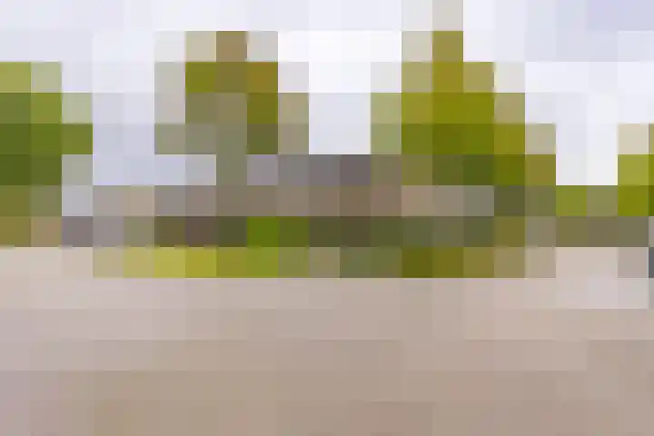 Druwerbrink 276 Emmen thumbnail 4