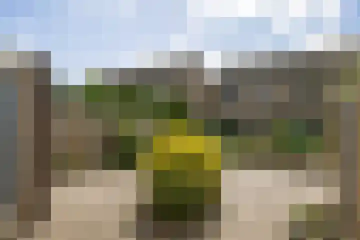 Druwerbrink 378 Emmen thumbnail 33