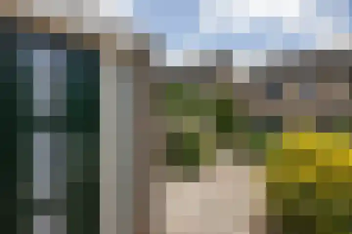 Druwerbrink 378 Emmen thumbnail 34
