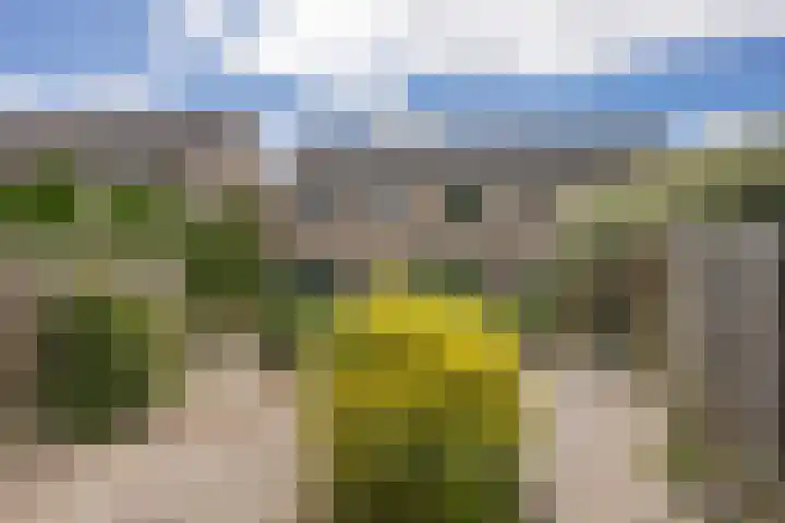 Druwerbrink 378 Emmen thumbnail 35