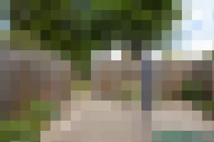 Druwerbrink 378 Emmen thumbnail 38