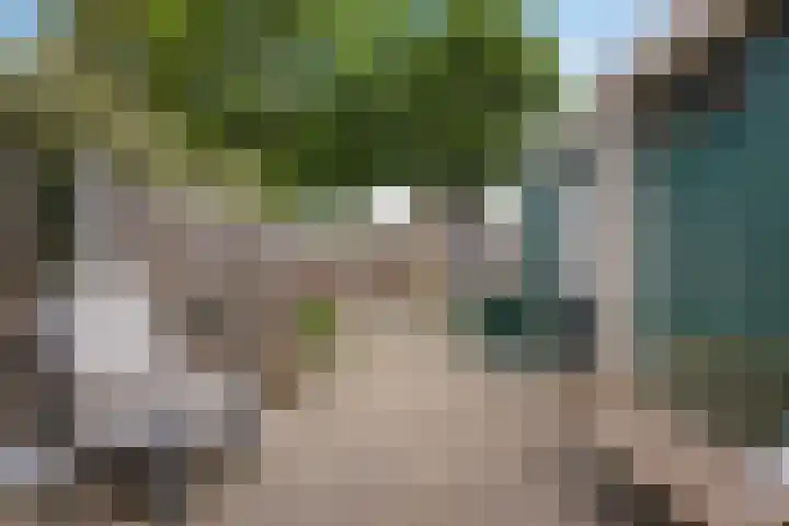 Druwerbrink 378 Emmen thumbnail 41