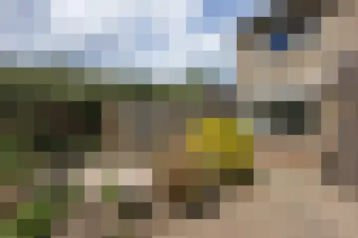 Druwerbrink 378 Emmen thumbnail 6