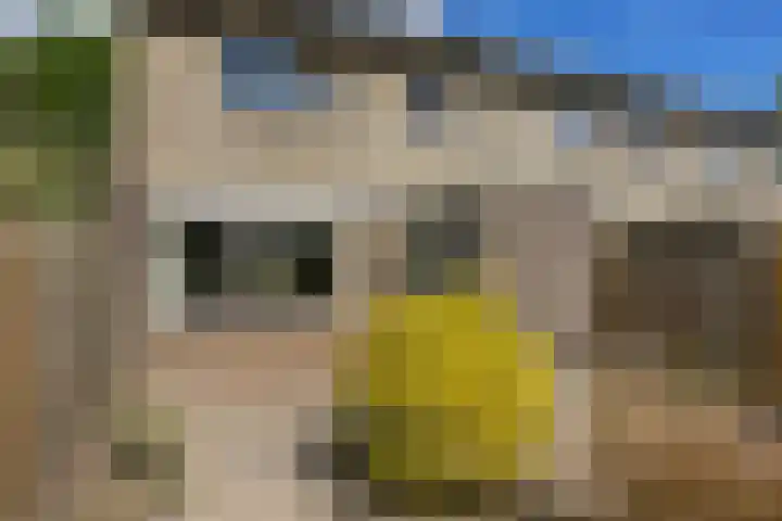 Druwerbrink 378 Emmen thumbnail 7
