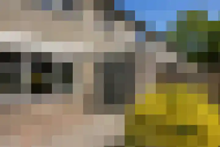Druwerbrink 378 Emmen thumbnail 8