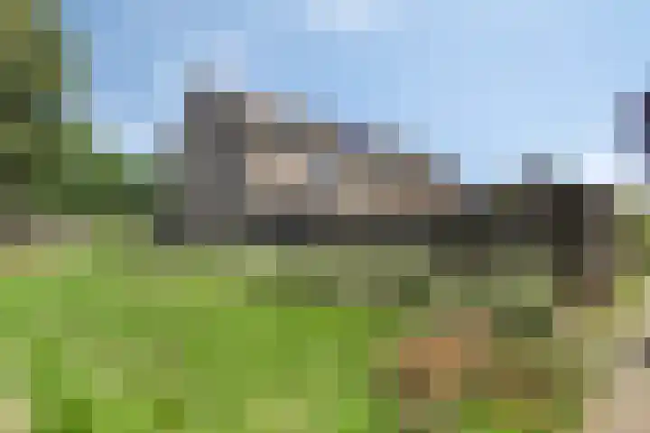 Druwerbrink 380 Emmen thumbnail 34