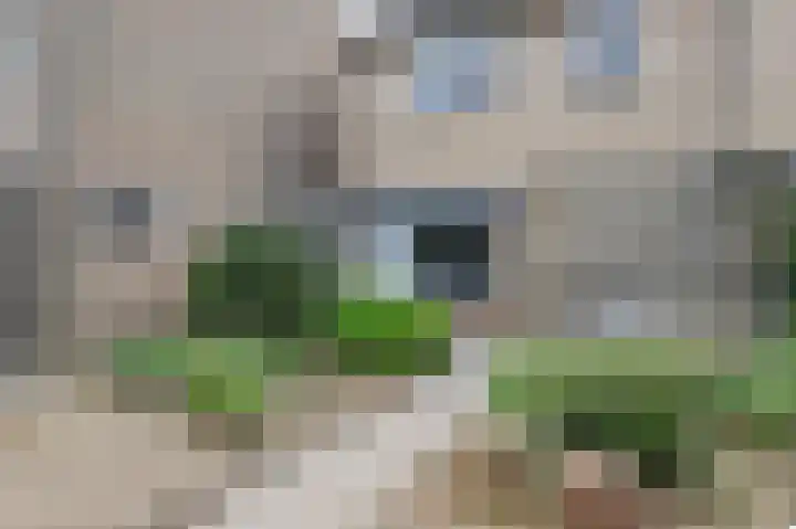 Druwerbrink 384 Emmen thumbnail 6