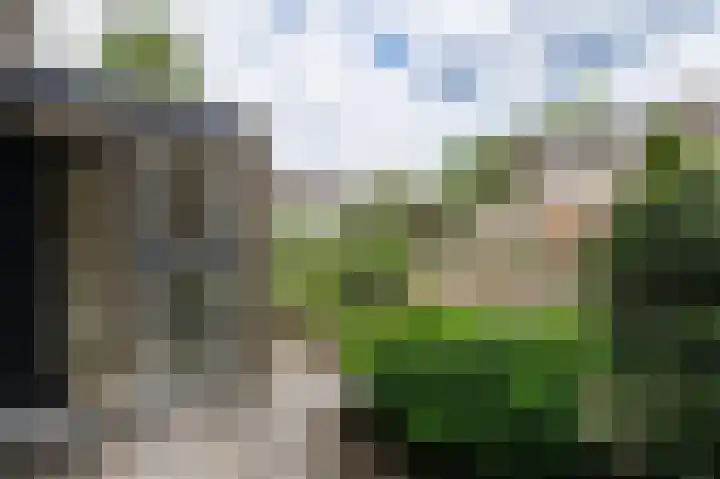 Druwerbrink 384 Emmen thumbnail 8