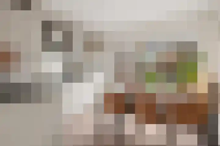 Druwerbrink 406 Emmen thumbnail 10