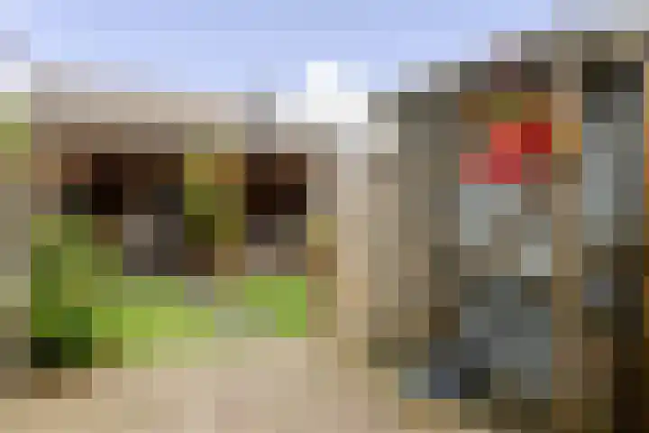 Druwerbrink 406 Emmen thumbnail 34
