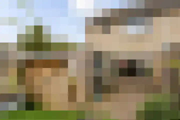 Druwerbrink 406 Emmen thumbnail 37